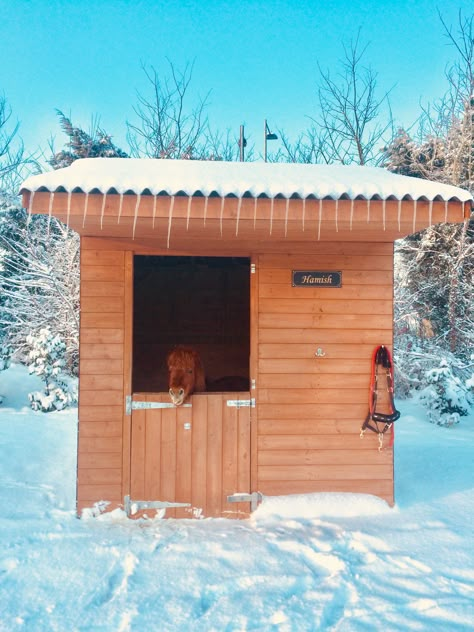 Shetland Pony Stable, Pony Door, Mini Horse Barn, Miniature Horse Barn, Pony Stable, Snow Diy, Small Horse Barns, Horse Shed, Horse Paddock