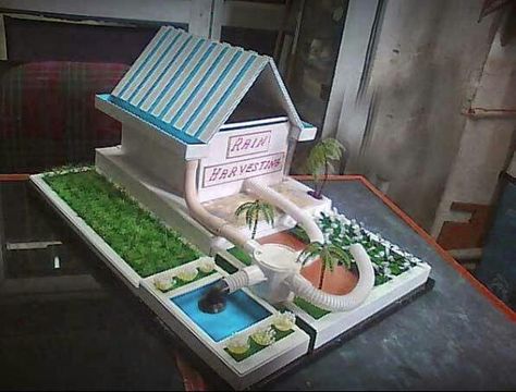 Rainwater Harvesting Model, Rain Water Harvesting Model, Energy Science Projects, Computer Science Projects, Animal Cell Project, Science Project Models, Science Exhibition Projects, Baby Elephant Cake, Science Fair Projects Boards