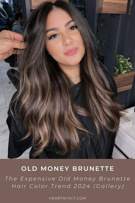 The Expensive Old Money Brunette (Gallery) | Rich Brunette Hair Color Trend 2024 | Expensive Brown Hair Aesthetic Inspo | Light brown hair | dark brown hair Expensive Brown Hair, Rich Brunette Hair Color, Color Trend 2024, Brown Hair Aesthetic, Dark Brunette Balayage Hair, Expensive Brunette, Old Money Brunette, Rich Brunette Hair, Dark Brunette Hair