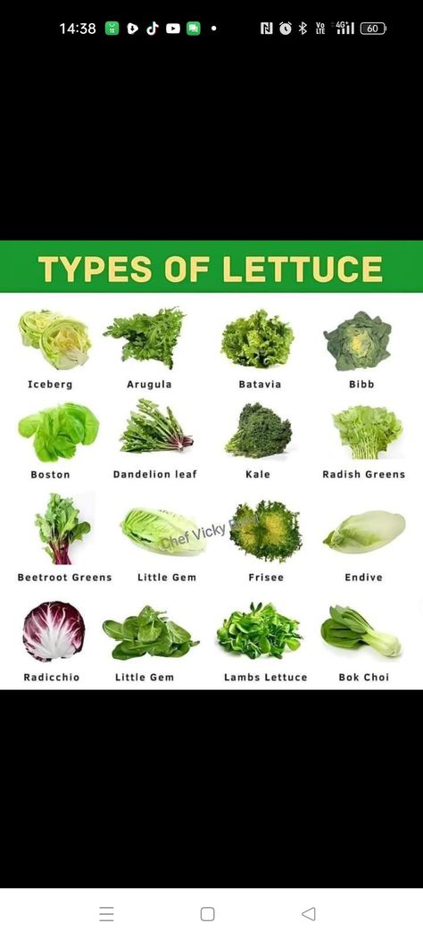 Bib Lettuce, Lettuce Recipe, Types Of Lettuce, Lettuce Recipes, Radish Greens, Leaf Lettuce, Green Chef, Dandelion Leaves, Iceberg Lettuce