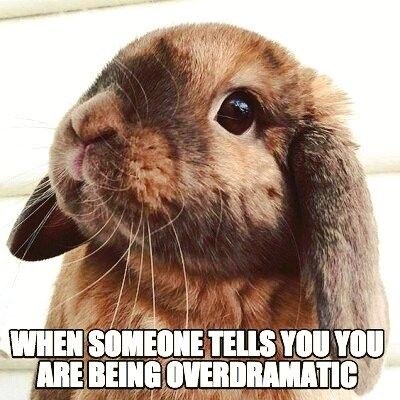 Am I being overdramatic? #rabbit #bunny #bunnies #cuteanimals #pet Somebunny Loves You, Floppy Eared Bunny, Adorable Bunnies, Fluffy Bunny, Pet Bunny, Little Critter, Funny Bunnies, Bunny Ears, Baby Bunnies