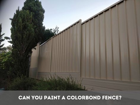 Fence Height Extension, Colorbond Fence, Tips For Painting, Pvc Fence, Using A Paint Sprayer, Spray Paint Colors, Timber Fencing, Fencing Material, Fence Styles