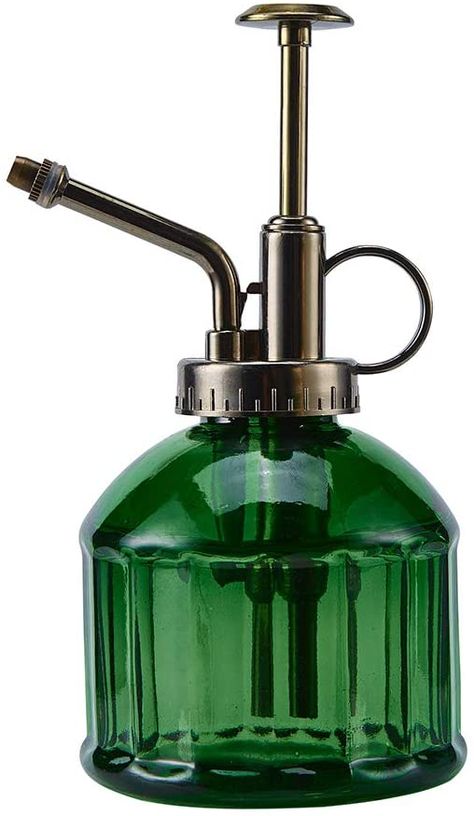 Amazon.com : Ebristar Glass Plant Mister Spray Bottle, 6.5" Tall Vintage Plant Spritzer Watering Can, Succulent Watering Bottle with Top Pump, Small Plant Sprayer Mister for Indoor Outdoor House Plant - Dark Green : Patio, Lawn & Garden Planet 9, Indoor Outdoor House, How To Water Succulents, Small Watering Can, Small House Plants, Plant Mister, Outdoor House, Pitcher Plant, Glass Spray Bottle