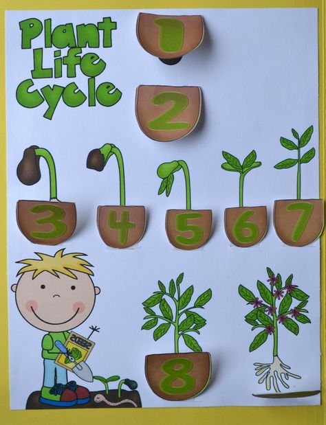 Several printables and ideas to learn about the plants & flowers God creates. دورة حياة النبات, Garden Crafts For Kids, Planting For Kids, Plant Activities, Free Preschool Printables, Plant Crafts, Plant Life Cycle, Spring Preschool, Plant Science