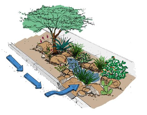 Stormwater Management Design, Rain Garden Design, Craftsman Interior Design, Streetscape Design, Rain Harvesting, Rain Gardens, Stormwater Management, Permaculture Design, Rainwater Harvesting