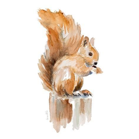 size: 12x12in Art Print: Watercolor Squirrel by Lanie Loreth : Watercolor Squirrel, Squirrel Painting, Squirrel Art, Creative Drawing Prompts, Fall Watercolor, Easy Watercolor, Watercolor Animals, Christmas Watercolor, Colorful Pictures