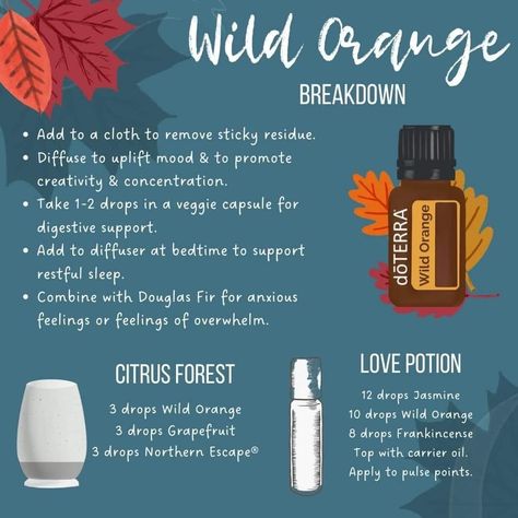 Northern Escape Doterra, Doterra Northern Escape, Remove Sticky Residue, Terra Essential Oils, Copaiba Oil, Copaiba Essential Oil, Wild Orange, Oil Uses, Essential Oil Uses