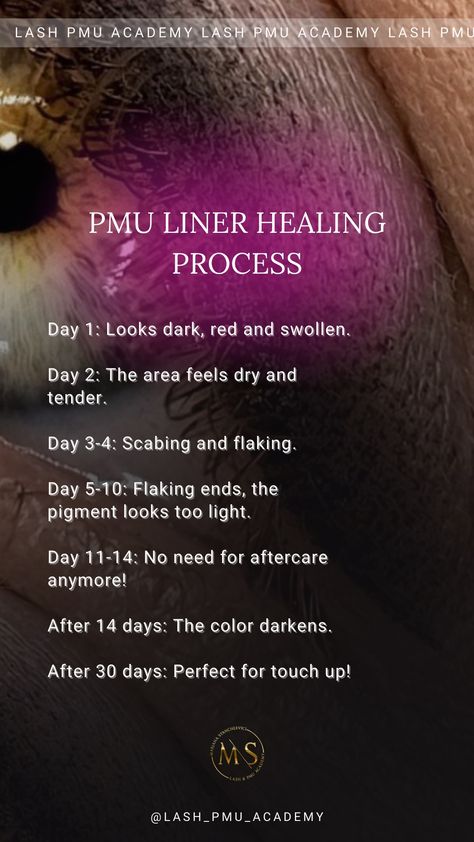 PMU Instagram Stories inspiration Editable powder brows healing eyeliner healing lips healing stories, custom made stories, SMM, template with Canva 45 unique stories for your instagram Сторис, косметология, тренды 2021, тренды 2022, тренды 2022, эстетика, оформление сторис, stories, идеи оформления, визуал, instagram story ideas, идеи сторис для инстаграм, идеи для сторис Powder Brows, Makeup Video, Healing Process, Permanent Makeup, Makeup Videos, Story Ideas, Instagram Story Ideas, Touch Up, Ig Story