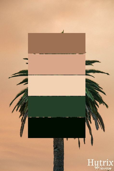 Tan Complimentary Colors, Brown Tan Green Color Palette, Peach Black Color Palette, Dirt Color Palette, Black White Tan Green Color Palette, Terracotta Complimentary Colors, Pink Green Brown Color Palette, Tulum Color Palette, Brown Contrast Color Schemes