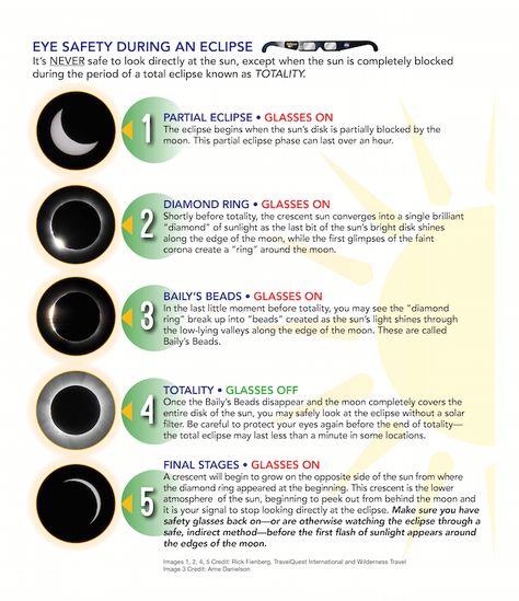 Solar Eclipse Eye Safety Eclipse Facts, Eclipse Activities, 1000 Hours Outside, Solar Eclipse Activity, Nature Lessons, Eclipse Photos, Eclipse Party, Partial Eclipse, Solar Eclipse 2017