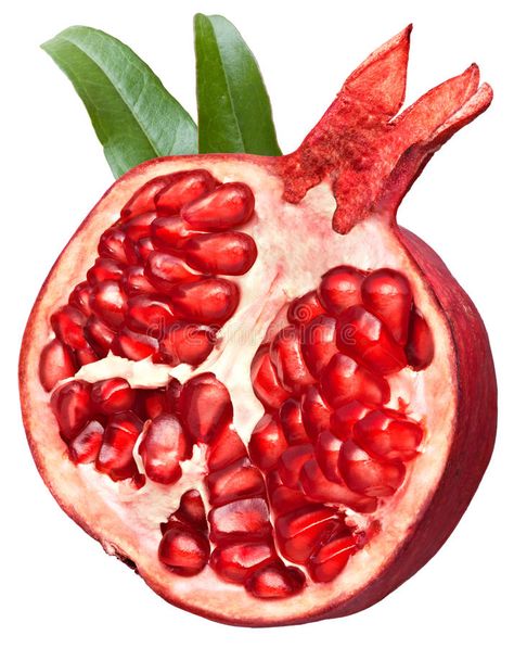 Buah Delima, Fruit Art Drawings, Fruits Decoration, Pomegranate Art, Fruits Drawing, Pomegranate Fruit, Watercolor Fruit, Fruit Illustration, Fruit Painting