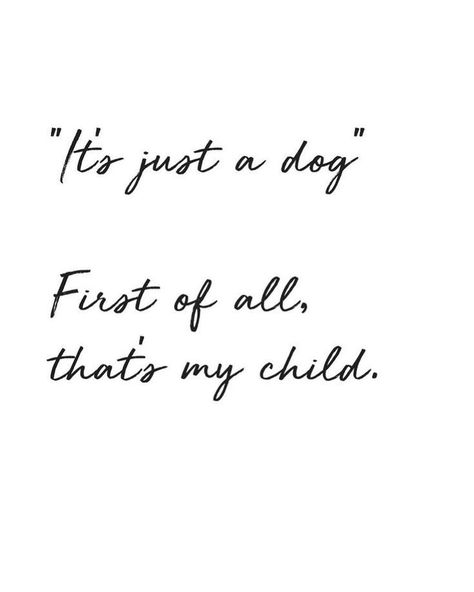 Dog Mom Quotes, Dog Mom Life, Dog Quotes Love, Funny Mom Quotes, Funny Animal Quotes, Dogs Love, Crazy Dog, Life Humor, Mom Quotes