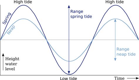 Centripetal Force, Earth Gravity, Spring Tide, Moon Orbit, Word Origins, Learn Greek, Earth Orbit, Oceanography, Holiday Card