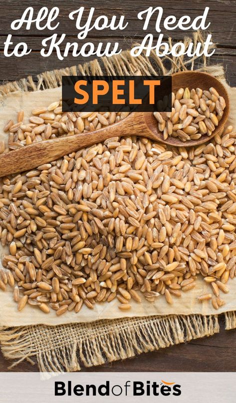 Spelt Grain Recipes, Spelt Recipes Grains, Spelt Flour Benefits Health, Spelt Flour Bread Recipes, Spelt Berries Recipes, Whole Grain Spelt Recipes, Spelt Berry Recipes, Spelt Sourdough Starter, Spelt Flour Sourdough Bread