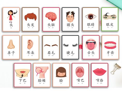 Body Parts Chinese Flash Cards Printable Mandarin Head Flash Cards Learn Simplified Chinese for Kids Chinese Flashcards for Kids - Etsy Canada Mandarin Characters, Bahasa Mandarin, Chinese Flashcards, Write Chinese Characters, Mandarin Chinese Learning, Chinese Lessons, Letter Tracing Worksheets, Chinese Language Learning, Flashcards For Kids