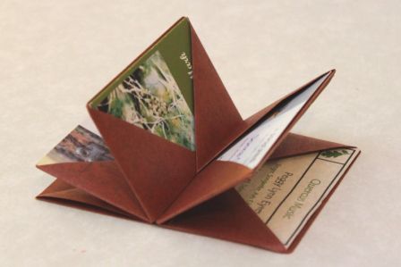 Fold Out Book Design, Unusual Book Binding, Creative Book Binding Design, Book Making Aesthetic, Artist Books Ideas, Blizzard Book, Hedi Kyle, Origami Card, Card Carrier