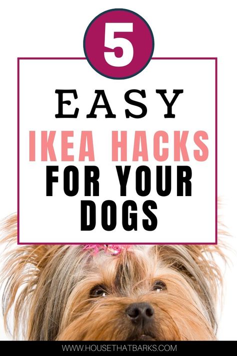 5 Easy to make Ikea hacks for dogs. #ikea, #ikea hacks, #dog hacks, Easy Dog Treats Homemade, Peanut Butter Dog Treats Homemade, Homemade Dog Cake, Dog Treats Homemade Peanut Butter, Homemade Dog Food Recipes Vet Approved, Ikea Dog, Dog Food Recipes Vet Approved, Homemade Peanut Butter Dog Treats, Dog Zodiac