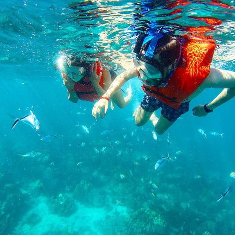 We went snorkeling today. Our first time in deep waters. It was absolutely amazing another planet underwater . Another item on our list checked #snorkeling #underwater #underthesea #bucketlist #gopro #fish #peces #ocean #adventure #islacatalina #republicadominicana #holiday #summer #diving #vacation #coral #instadaily #instacool #love #honeymoon #relationshipgoals #happy  #caribbean Catamaran Cruise, Ocean Adventure, Jamaica Travel, Negril, Holiday Summer, Montego Bay, Relax Time, Catamaran, Day Tours