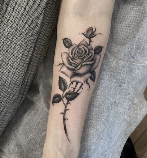 Different Rose Tattoo Styles, Grey Shading Tattoo, Chicano Rose Tattoo, Rose Tattoo Realism, Rose Tattoo Shaded, Rose Sleeve Tattoo Women, Rose Tattoo For Men, Rose Realism Tattoo, Black And Gray Flower Tattoo