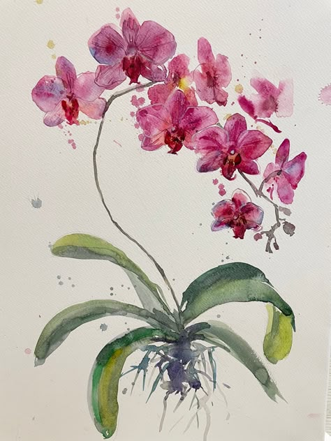 Simple Orchid Painting, Orchid Flower Watercolor, Orchid Art Painting, Watercolor Orchids Painting, Orchid Watercolor Painting, Rose Drawing Ideas, Orchids Watercolor, Watercolor Orchids, Sketch Rose