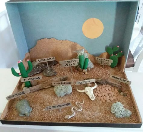 We made the animals and cacti out of polymer clay; deer moss was used for tumbleweeds; and the signs/labels were made with craft sticks. We also had to [creatively] show at least two threats to the habitat, so we chose drought and poison. Scorpion Habitat Diorama, Desert Diarama Ideas, Dessert Ecosystem Project, Desert Diorama Ideas For Kids, Desert Habitat Project, Desert Diorama Projects, Desert Habitat Projects For Kids, Desert Biome Project Ideas, Desert Ecosystem Project