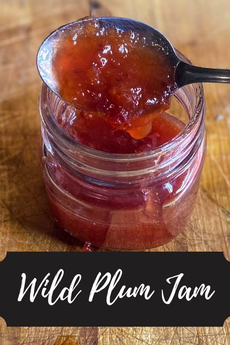 American Plums are abundant and can be foraged to make this beautiful three ingredient plum jam! Click here to check out the recipe and get canning with me! Wild Plum Jam Recipe, Wild Plum Jelly Recipe, Wild Plum Jam, Plum Butter, Plum Preserves, Plum Chutney, Canned Plums, Plum Jam Recipes, Wild Plum