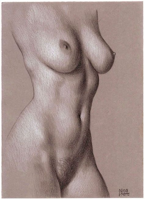 Painting Of Female Anatomy, Womens Anatomy Drawing, Hot Drawings On Paper, Art Sketches Women Body Drawing, Womans Body Sketches, Women Sketches Pencil, Womens Silhouette Drawing, Grey Paper Drawing, Body Figure Poses