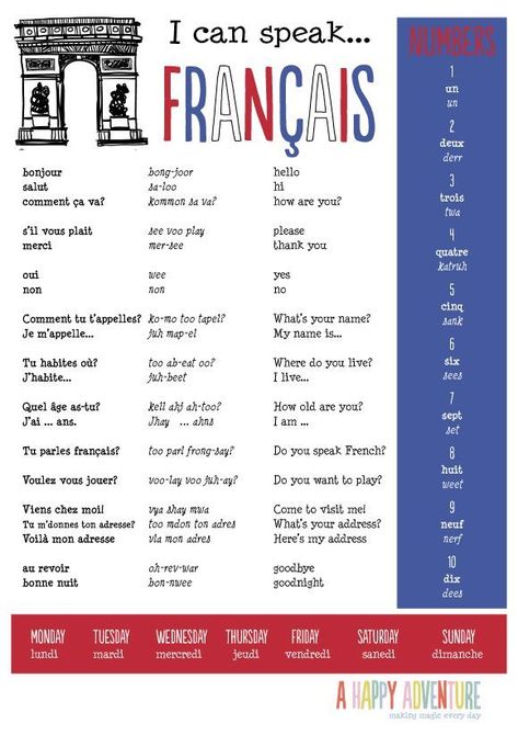 common French phrases French Basics, Learn To Speak French, Basic French Words, Study French, Speak French, French For Beginners, French Language Lessons, French Education, French Classroom