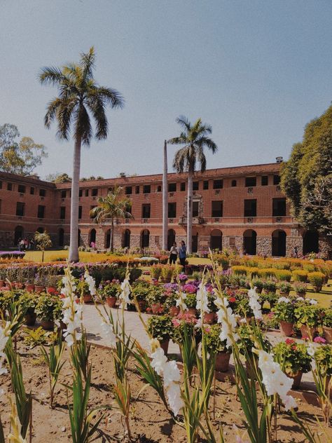 college aesthetic miranda house delhi vsco vintage College Schedule, University Of Delhi, North Campus, Instagram Symbols, College Vision Board, Uni Life, Senior Year, Colleges And Universities, College Life