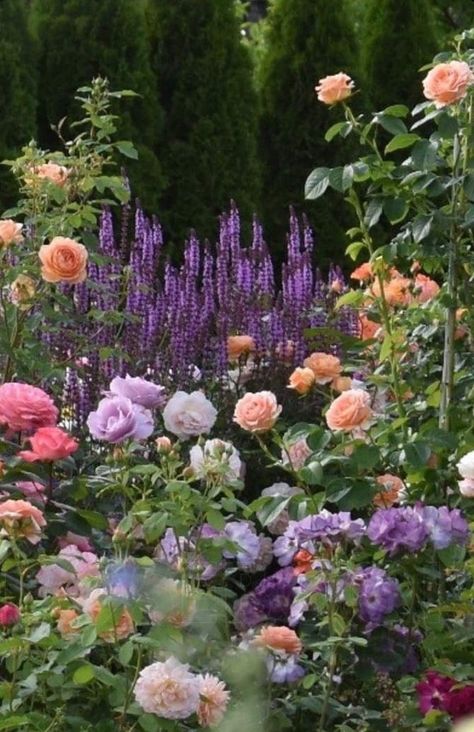 English Garden Roses, Beautiful Gardens Magical, Garden Design Cottage, Cottage Garden Inspiration, When To Start Seeds Indoors, When To Start Seeds, English Flower Garden, Cottage Garden Borders, Start Seeds Indoors