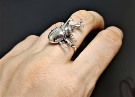 Stag beetle