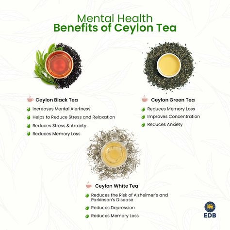 More than just an aromatic cuppa with a distinct flavor, #CeylonTea brings manifold #MentalHealthBenefits for consumers. And now, they have been backed by scientific research too! Find out more about scientifically proven health benefits of Ceylon tea. Ctc Tea, Tea Plants, Food Kit, Tea Varieties, Tea Plant, Ceylon Tea, Tea Benefits, Witch Craft, Herbal Teas