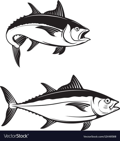 Tuna Fish Illustration, Fish Vector Illustration, Tuna Tattoo, Grafic Arts, Tuna Illustration, Fish Art Drawing, Ed Roth Art, Fish Outline, Grafic Art