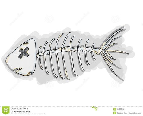 Cartoon Fish Bones - Download From Over 35 Million High Quality Stock Photos, Images, Vectors. Sign up for FREE today. Image: 30030815 Fishbone Drawing, Fish Bone Tattoo, Skull Game, Bone Tattoo, Fish Skeleton, Fish Bones, Bone Stock, Bone Tattoos, Cartoon Fish