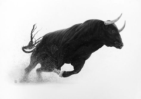 taureau en mouvement, image, stock.xchng, one, mammal, bull, cattle, winter, animal, snow, nature, cow, horn, livestock, wildlife, art, splash, motion, side view, action energy Bull Reference, Bull Art Drawing, Animals In Motion, Bull Artwork, Pbr Bull Riding, Bull Pictures, Bull Tattoo, Art Splash, Snow Nature