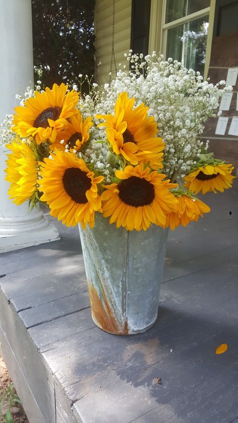 Bucket Flowers, Sunflower Bucket, Potted Sunflowers, Bucket Flower, Fav Flower, Bell Pictures, Tin Pots, Bucket Ideas, Sunflower Vase