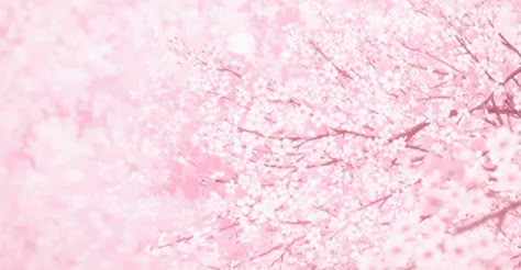 천사와 악마, Gif Background, Kawaii Background, Sakura Tree, Banner Gif, Anime Gifs, Pastel Pink Aesthetic, Rose Pastel, Aesthetic Gif