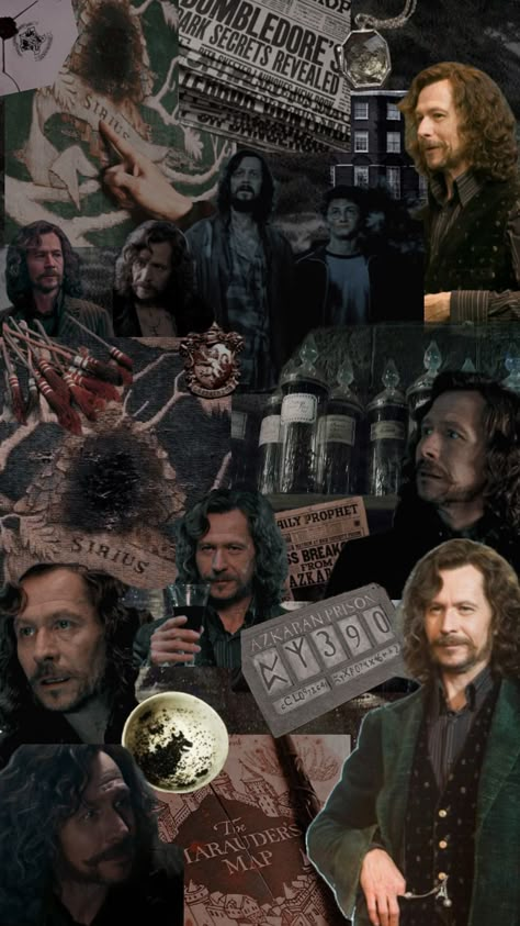 sirius black 🐺#siriusblack #sirius #harrypotter #hogwarts #remuslupin #marauders #gryffindor #prisonerofazkaban xx Sirius Black Gary Oldman, Sirius Regulus, Harry Potter Templates, Hp Wallpaper, Harry Potter Sirius, Ballet Wallpaper, Harry Potter Groups, Remus And Sirius, Hp Characters