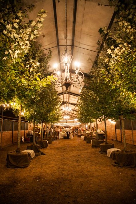 Horse Stable Chandeliers - Tips for Lighting for Barns & Equestrian Venues | Hawk Hill Unique String Lights, Stables Wedding, Simple Chandelier, Rustic Wedding Backdrops, The Stables, Horse Stable, Barn Reception, Wrought Iron Chandeliers, Practical Lighting