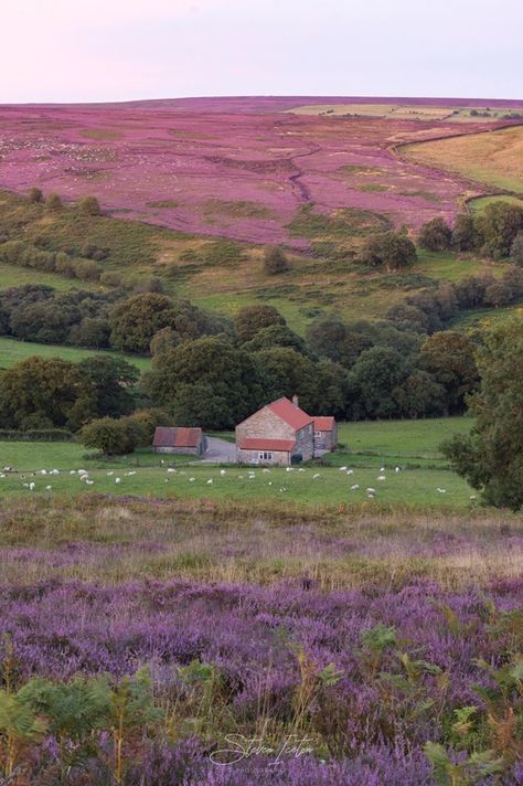 Uphill down Dale, North York Moors, England. 얼굴 그리기, Cottagecore Aesthetic, Radiohead, Jolie Photo, Nature Aesthetic, Pretty Places, Cottage Core, Pretty Pictures, In The Middle