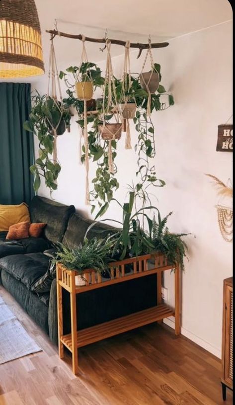 High Ceiling Plant Hanging, Wall Colors For Plant Room, Plant Room Living Room, Pothos Decor Ideas, How To Decorate With Plants, Ideas For Small Home, Hanging Plant Ideas, Koti Diy, Lots Of Plants