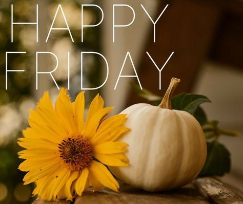 Ready for my little humans to get home from school so we can start our Halloween weekend 🧡🎃🖤 But it’s going to be a great day 🙂 Happy Friday Fall Images, Happy Fall Friday, Happy Friday Images, Pumpkin Image, Happy Friday Pictures, Avon Ideas, Fall Greetings, Friday Greetings, Friday Quote