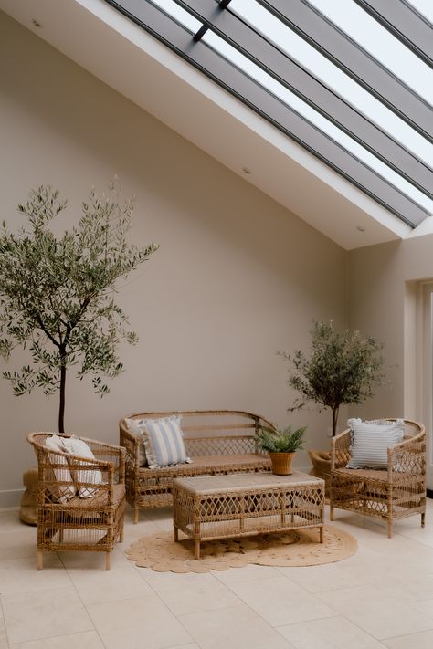 This shows a lounge area in a barn. The seating area consists of a matching cane set, with matching sofa, armchairs and coffee table. On all the seating are plush, light blue and taupe cushions. Behind the armchairs are tall and medium height olive trees. Cane Sofa, Natural Vibes, Barn Photography, Cane Furniture, Live Tree, Jute Rugs, Jute Rug, Lounge Sets, Furniture Collection