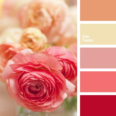 Color Palette #3409 In Color Balance, Beige Color Palette, Color Palette Ideas, Wall Living Room, Red Colour Palette, Color Schemes Colour Palettes, Palette Ideas, Warm Palette, Design Seeds