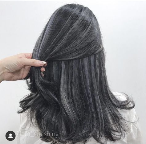 Ash Grey Hair With Highlights, Milk Tea Grey Brown Hair, Dark Ash Black Hair, Ash Blue Hair Color Highlights, Grey Bayalage Hair, Ash Grey Highlights On Dark Hair, Gray Babylights, Micro Highlights On Dark Hair, Silver Highlights On Dark Hair