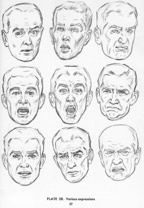 Andrew Loomis male expressions Expressions Drawing, Human Face Drawing, Facial Expressions Drawing, Drawing Face Expressions, 얼굴 드로잉, 얼굴 그리기, Drawing Heads, Face Sketch, Figure Sketching