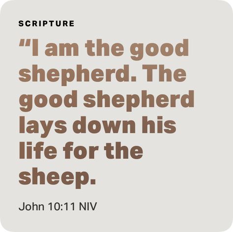 John 10 11, I Am The Good Shepherd, John 10, Womens Worth, New American Standard Bible, Good Shepherd, Bible Versions, The Good Shepherd, The Sheep