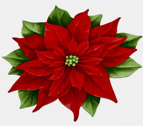 Clip Art Freebies, Flower Cut Out, Learn Watercolor Painting, Christmas Candle Decorations, Red Poinsettia, Christmas Artwork, Learn Watercolor, Indoor Door Mats, Poinsettia Flower