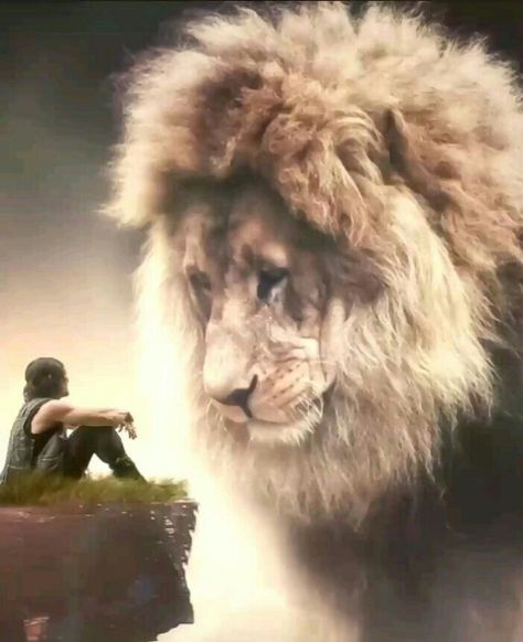 Lion Roaring Video, Moving Wallpaper Iphone, Lion Roaring, Jesus Drawings, Leo Tattoos, Moving Wallpapers, Lion Images, Christian Posters, Lion Pictures