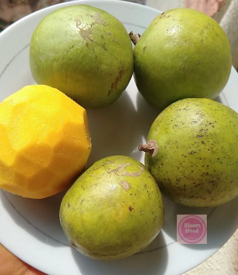 African Mango Benefits, Mango Health Benefits, Mango Benefits, African Mango, Stomach Acid, Body Organs, Traditional Medicine, Nutritional Value, Pregnant Woman